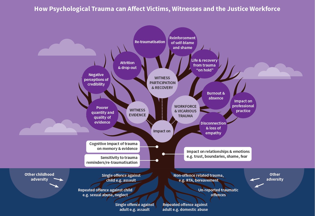 National Trauma Training Programme Trauma informed Justice Resources